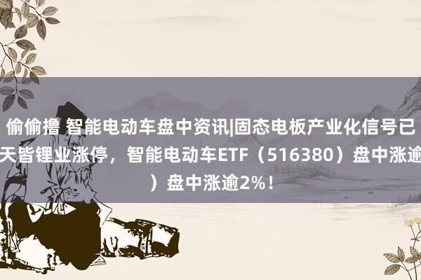 偷偷撸 智能电动车盘中资讯|固态电板产业化信号已现？天皆锂业涨停，智能电动车ETF（516380）盘中涨逾2%！
