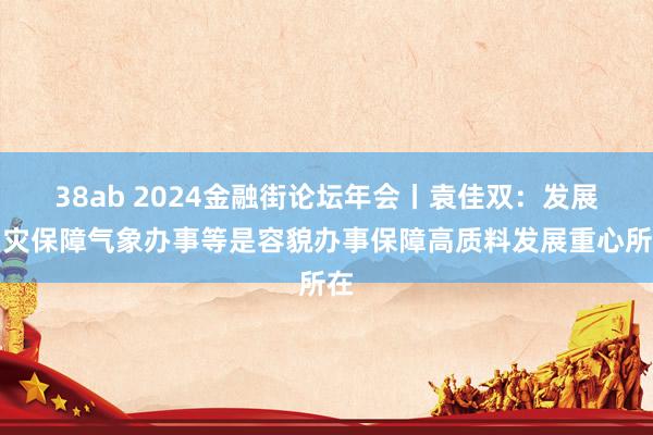 38ab 2024金融街论坛年会丨袁佳双：发展巨灾保障气象办事等是容貌办事保障高质料发展重心所在