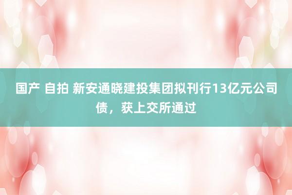 国产 自拍 新安通晓建投集团拟刊行13亿元公司债，获上交所通过