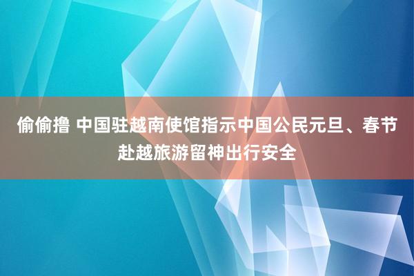 偷偷撸 中国驻越南使馆指示中国公民元旦、春节赴越旅游留神出行安全