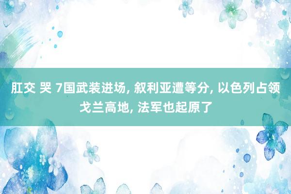 肛交 哭 7国武装进场， 叙利亚遭等分， 以色列占领戈兰高地， 法军也起原了