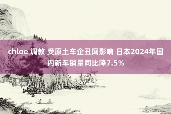 chloe 调教 受原土车企丑闻影响 日本2024年国内新车销量同比降7.5%
