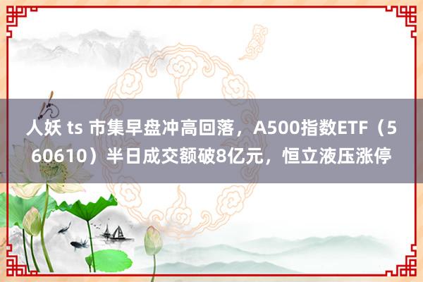 人妖 ts 市集早盘冲高回落，A500指数ETF（560610）半日成交额破8亿元，恒立液压涨停