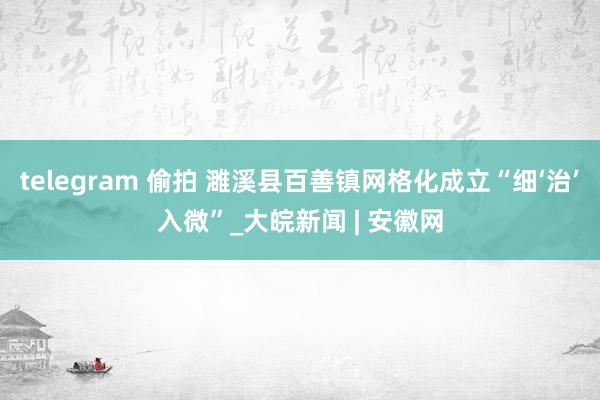 telegram 偷拍 濉溪县百善镇网格化成立“细‘治’入微”_大皖新闻 | 安徽网