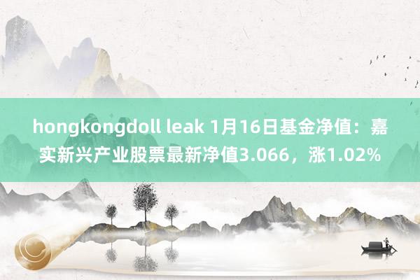 hongkongdoll leak 1月16日基金净值：嘉实新兴产业股票最新净值3.066，涨1.02%