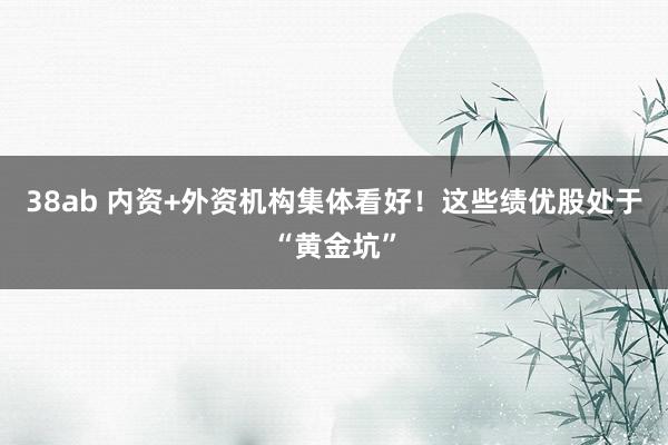38ab 内资+外资机构集体看好！这些绩优股处于“黄金坑”