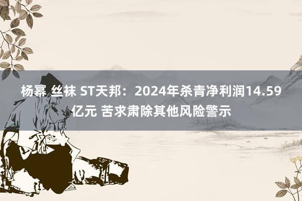 杨幂 丝袜 ST天邦：2024年杀青净利润14.59亿元 苦求肃除其他风险警示