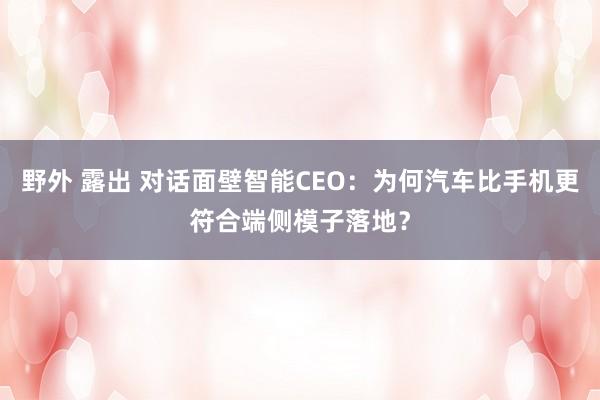 野外 露出 对话面壁智能CEO：为何汽车比手机更符合端侧模子落地？