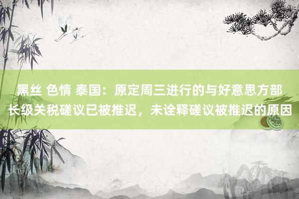 黑丝 色情 泰国：原定周三进行的与好意思方部长级关税磋议已被推迟，未诠释磋议被推迟的原因