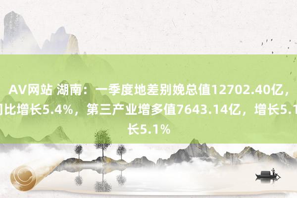 AV网站 湖南：一季度地差别娩总值12702.40亿， 同比增长5.4%，第三产业增多值7643.14亿，增长5.1%