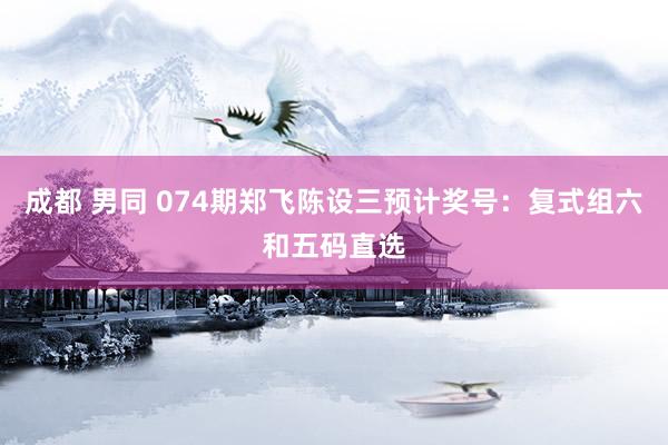 成都 男同 074期郑飞陈设三预计奖号：复式组六和五码直选